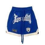 Blue Running Fitness Mesh Basketball Shorts DK-009 (1)